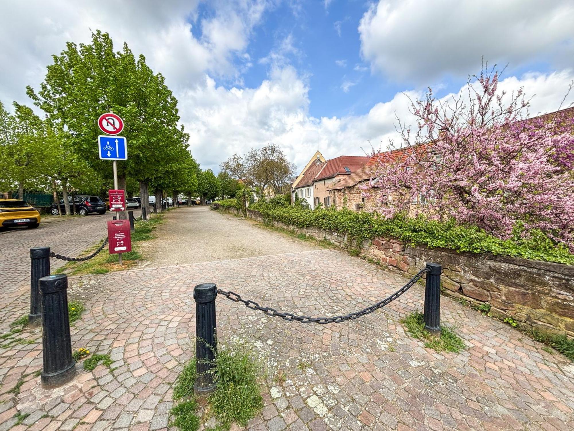 Le Pavillon Des Remparts - Commerces A Proximite - Centre-Ville - Appartement Cosy Obernai Bagian luar foto